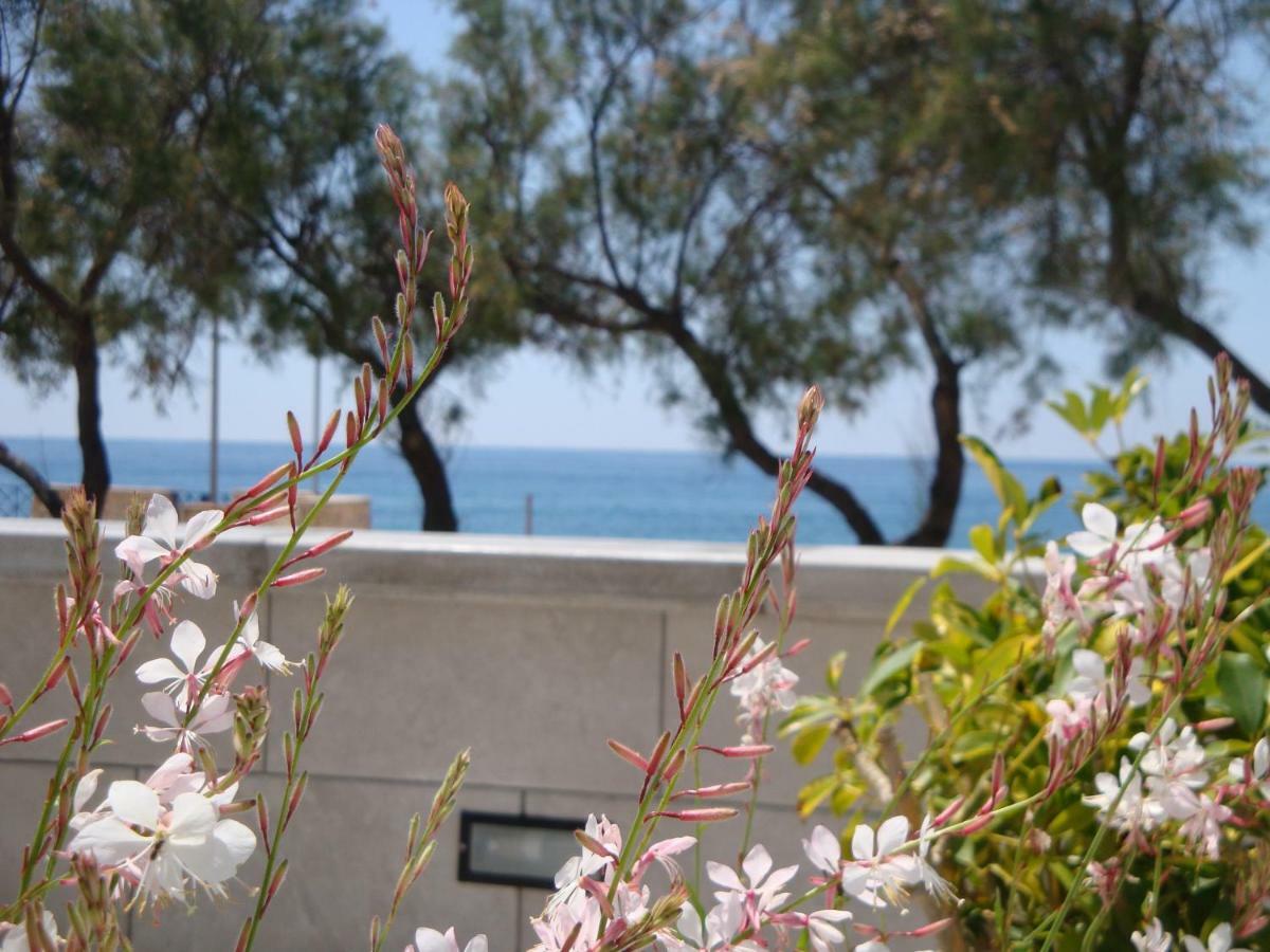 מרינה די מנקוורסה Deliziosa Villetta Mancaversa מראה חיצוני תמונה